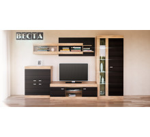 Комбинированный шкаф в гостиную Веста МН-130-02